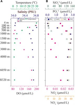 Insight Into the Pico- and Nano-Phytoplankton Communities in the Deepest Biosphere, the Mariana Trench